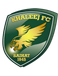 Al-Khaleej FC