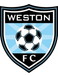 Weston FC Academy Weston FC Academy