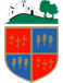 Netherfield AFC