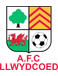 AFC Llwydcoed AFC Llwydcoed