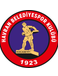 Havran Belediye SK