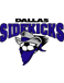 Dallas Sidekicks (1984-2004)
