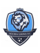 Accra Lions FC