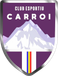 Club Esportiu Carroi