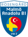 Malmö ABI