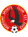 FC Bedfont Sports FC Bedfont Sports
