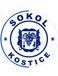 Sokol Kostice (BV)