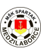 Spartak Medzilaborce