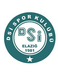 Elazig DSI Spor Elazig DSI Spor