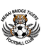 Menai Bridge Tigers Menai Bridge Tigers