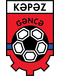 Kapaz PFK