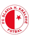 Slavia Hradec Kralove Jugend