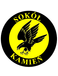 Sokol Kamien Sokol Kamien