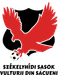 Vulturii Sacueni Vulturii Sacueni