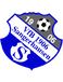 VfB 1906 Sangerhausen VfB 1906 Sangerhausen