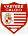 Vastese Calcio