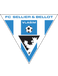 FC Sellier & Bellot Vlasim B FC Sellier & Bellot Vlasim B