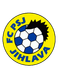 FC Spartak PSJ Jihlava
