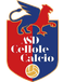 ASD Cellole Calcio ASD Cellole Calcio