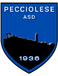 FC Pecciolese 1936 FC Pecciolese 1936