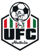 UFC Hallein