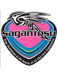 Sagan Tosu Reserves