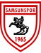 Samsunspor U19 Samsunspor U19