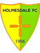 Holmesdale FC Holmesdale FC