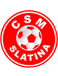 CSM Slatina