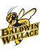 BW Yellow Jackets (Baldwin Wallace Uni)
