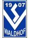 SV Waldhof Mannheim