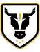 Bulls FC Academy