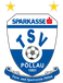 TSV Pöllau (-2024)