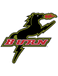Dallas Burn