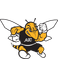 AIC Yellow Jackets (American International Col.)