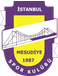 Istanbul Mesudiyespor