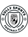 Sully Sports