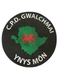 CPD Gwalchmai
