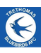 Trethomas Bluebirds