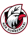 NZR Sumbersari FC
