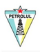 Partizanul Bucuresti