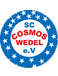 SC Cosmos Wedel III