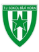 TJ Sokol Bila Hora TJ Sokol Bila Hora