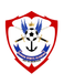 Raman Sports Academy 