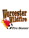 Worcester Wildfire