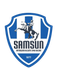 Samsun Büyüksehir Belediye Spor