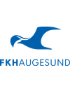 FK Haugesund FK Haugesund