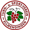 TuS Ellmendingen
