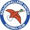Ballinamallard United FC Reserve
