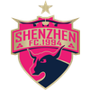 Shenzhen FC
